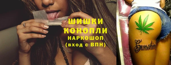 СК Богородицк