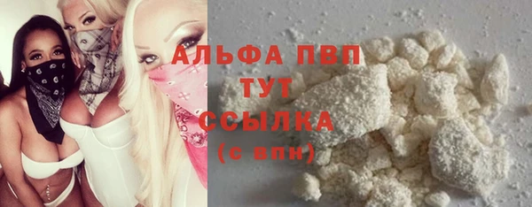 СК Богородицк