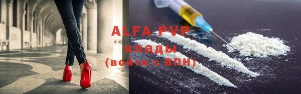 спиды Инта