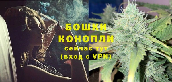 сатива Богородск