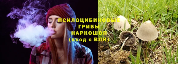 ГАЛЛЮЦИНОГЕННЫЕ ГРИБЫ Няндома