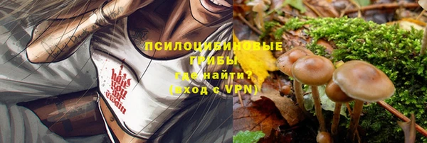 СК Богородицк