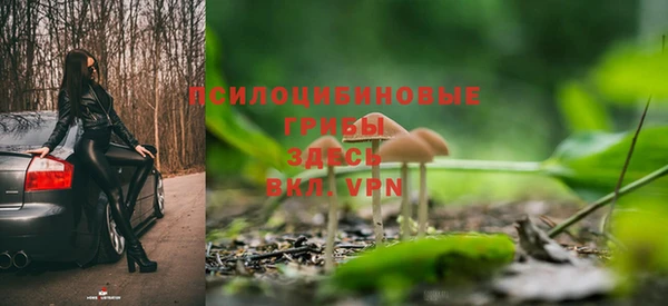 СК Богородицк