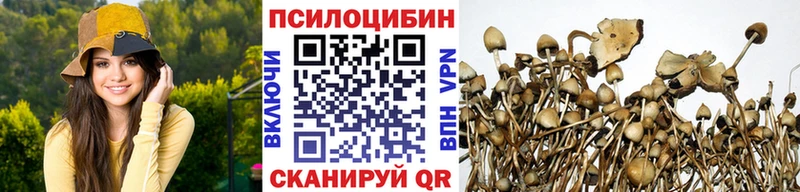 Псилоцибиновые грибы Cubensis маркетплейс телеграм Бирюсинск купить цена